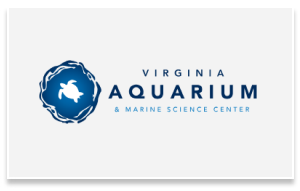 Virginia Aquarium & Marine Science Center Logo